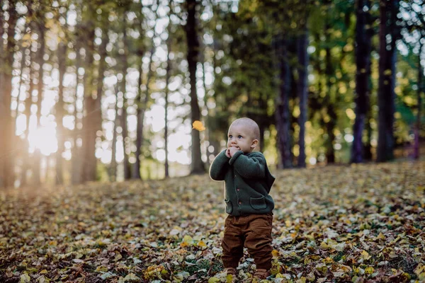 Portrait Cute Little Boy Wearing Knitted Hoodie Nautre Sunset Autumn — Fotografia de Stock