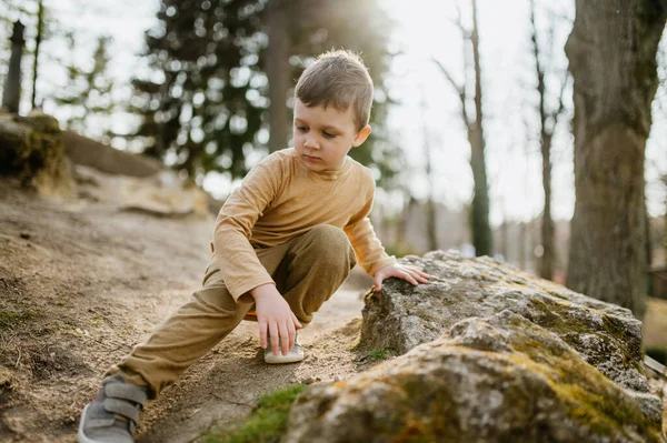 Portrait Cute Curious Little Boy Nautre Autumn Concept —  Fotos de Stock