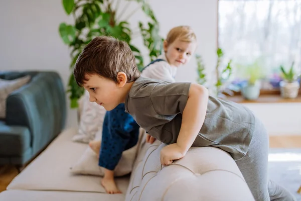 Little Siblings Playing Living Room Together Climbing Jumping Sofa — Fotografia de Stock