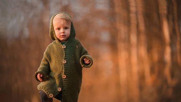 Little Curious Boy Knitted Sweater Walk Autumn Nature Looking Camera — Stock fotografie