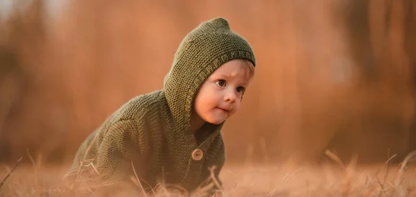 Podzimní Portrét Šťastného Chlapečka Pleteném Svetru Sedícího Hrajícího Suché Trávě — Stock fotografie