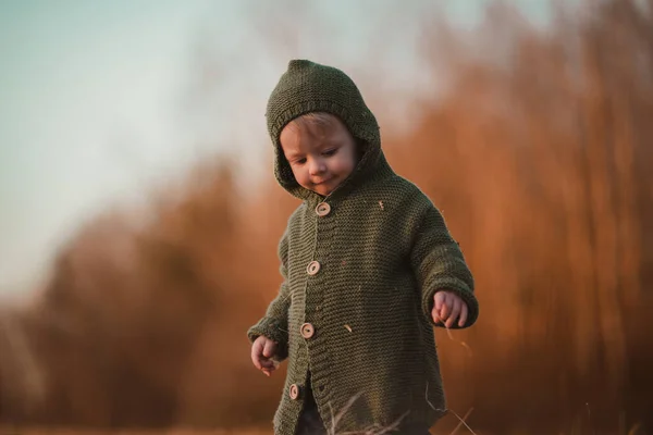 Маленький Любопытный Мальчик Трикотажном Свитере Прогулке Осенью Природе Смотрит Камеру — стоковое фото
