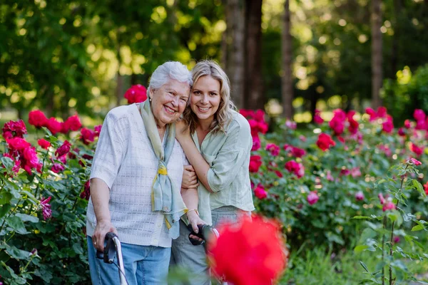 Portrait Adult Granddaughter Senior Grandmother Walk Park Roses Background — 图库照片