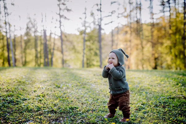 Cute Little Boy Wearing Knitted Hoodie Nautre Sunset Autumn Concept — Foto Stock