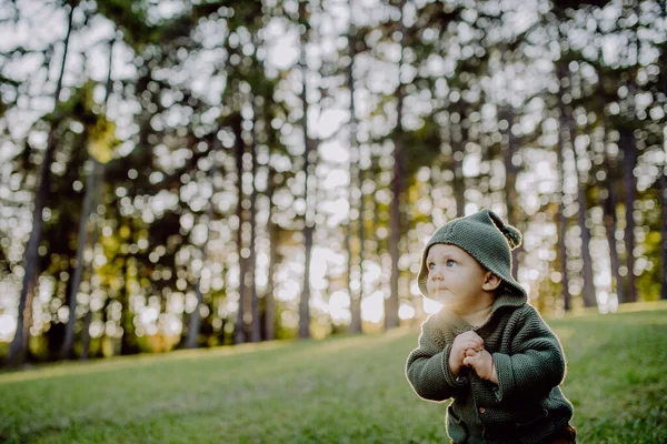 Portrait Cute Little Boy Wearing Knitted Hoodie Nautre Autumn Concept — Foto Stock