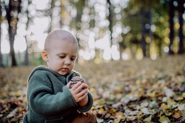 Doğada Kuru Yapraklarda Oturan Küçük Bir Çocuk Sonbahar Konsepti — Stok fotoğraf