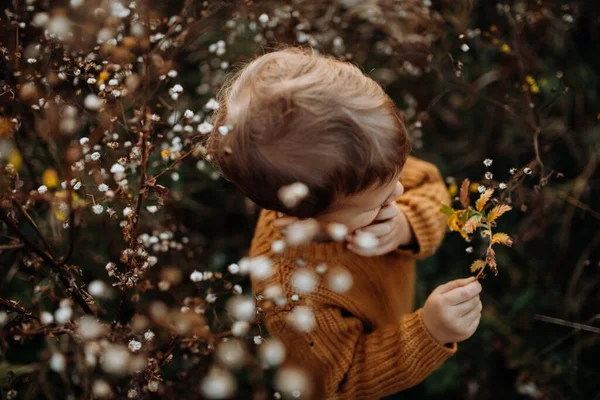 Top View Cute Little Boy Wearing Knitted Sweater Explorying Autumn — Fotografia de Stock