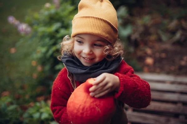 Little Girl Harvesting Organic Pumpkin Eco Garden Sustainable Lifestyle — Foto Stock