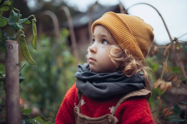 Πορτρέτο Του Μικρού Ξανθό Κορίτσι Στο Φθινόπωρο Κήπο Ζεστά Ρούχα — Φωτογραφία Αρχείου