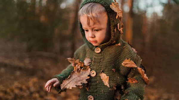 Little Curious Boy Walk Nature Playing Leaves Forest — Fotografia de Stock