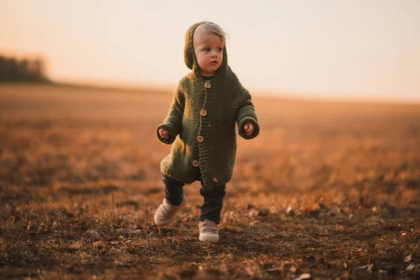 Little Curious Boy Knitted Sweater Walk Autumn Nature — Fotografia de Stock