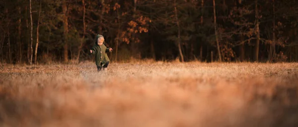 Cute Little Boy Knitted Sweater Walk Autumn Nature Wide Copy — Φωτογραφία Αρχείου