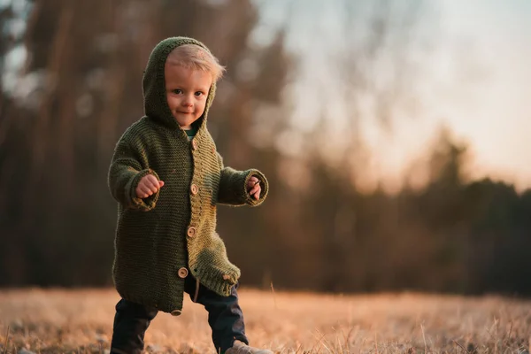 Little Curious Boy Knitted Sweater Walk Autumn Nature Looking Camera — Stok fotoğraf