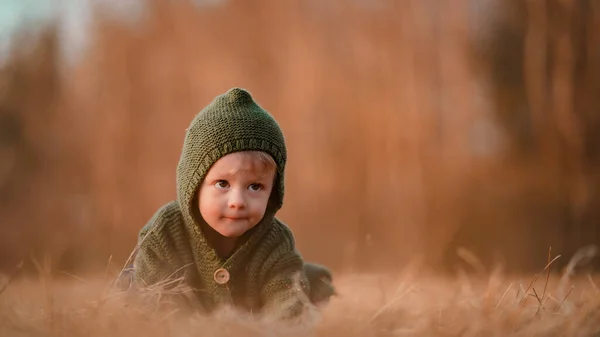 Little Curious Boy Knitted Sweater Walk Autumn Nature Looking Camera — Foto Stock