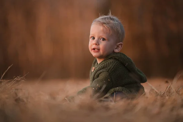 Little Curious Boy Knitted Sweater Walk Autumn Nature Looking Camera — Stok fotoğraf