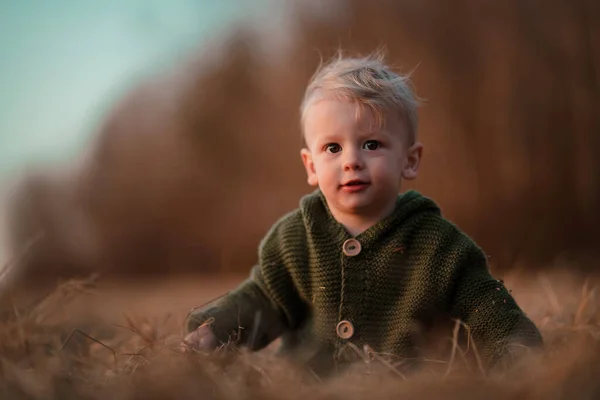 Little Curious Boy Knitted Sweater Walk Autumn Nature Looking Camera — Stockfoto