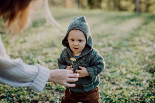 Portrait Cute Little Boy Wearing Knitted Hoodie Nautre Autumn Concept — Photo