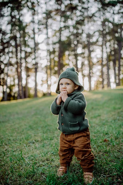 Portrait Cute Little Boy Wearing Knitted Hoodie Nautre Autumn Concept — Φωτογραφία Αρχείου