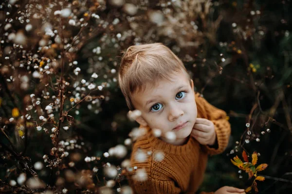 Top View Cute Little Boy Wearing Knitted Sweater Explorying Autumn — Stock fotografie