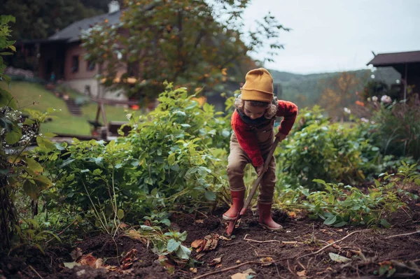 Seorang Gadis Kecil Merawat Kebun Sayur Tanah Sekop — Stok Foto