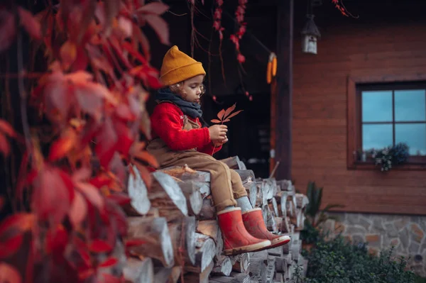 Happy Little Girl Sitting Resting Pile Wood Flower Surrouded Red — Foto de Stock