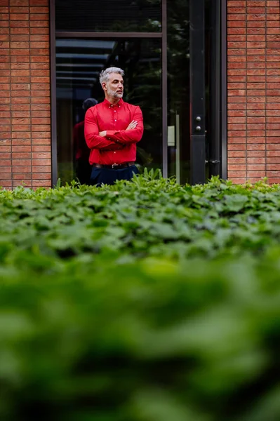 Mature Businessman Standing Red Shirt Office Door Next Green Bushes — 图库照片