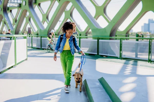 Multiracial Girl Walking Her Dog Bridge Training Him Spending Leisure — Stockfoto
