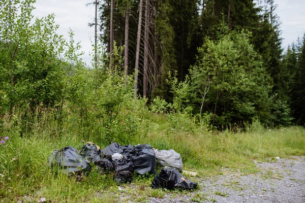 Illegal dumping of waste in a forest, trashes in black plastic bags.