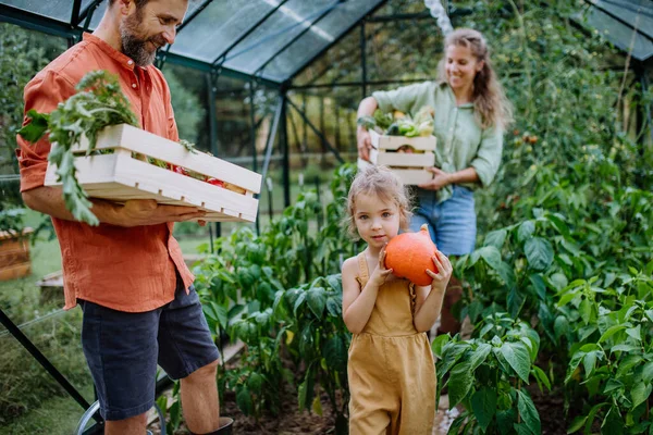 Farmer Family Fresh Harvest Standing Greenhouse — Stok Foto