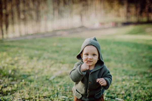 Portrait Cute Little Boy Wearing Knitted Hoodie Nautre Autumn Concept — Φωτογραφία Αρχείου