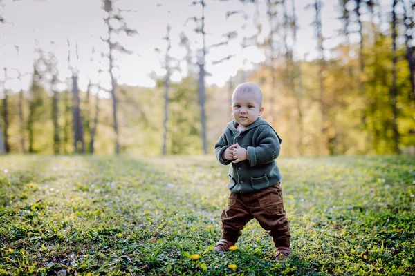 Ein Porträt Des Niedlichen Kleinen Jungen Mit Strickpullover Nautre Herbstkonzept — Stockfoto