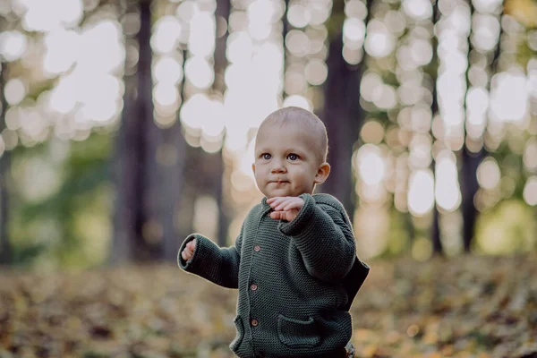 Portrait Cute Little Boy Wearing Knitted Hoodie Nautre Autumn Concept —  Fotos de Stock