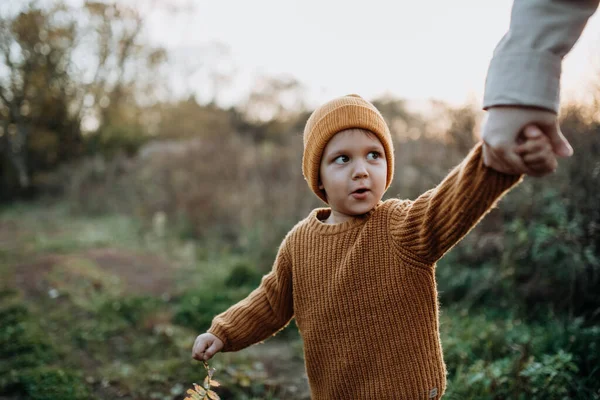 Portrait Cute Little Boy Wearing Knitted Sweater Nautre Autumn Concept — Stock fotografie
