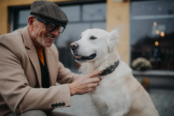 Homem Sênior Feliz Dando Coleira Seu Cão Durante Caminhada Livre — Fotografia de Stock