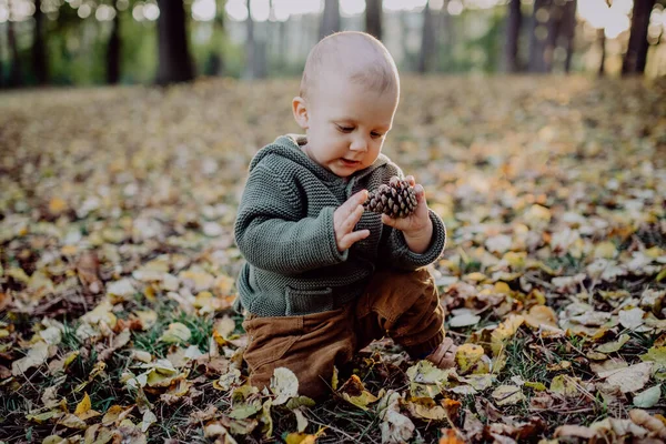 Ένα Πορτρέτο Του Χαριτωμένο Μικρό Αγόρι Παίζει Κώνο Κωνοφόρων Και — Φωτογραφία Αρχείου