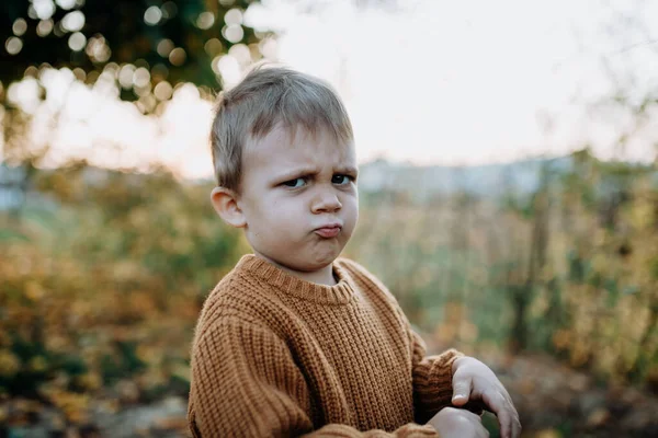 Een Portret Van Overstuur Jongetje Draagt Gebreide Trui Nautre Herfst — Stockfoto