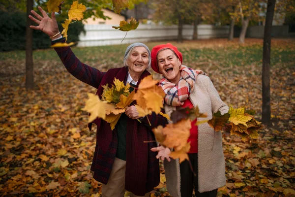 秋天的一天 快乐的老朋友们在公园里散步 玩的开心 扔着五彩缤纷的树叶 — 图库照片