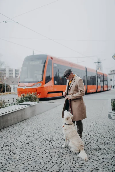 一个快乐优雅的老人在城市的户外散步和训练他的狗 — 图库照片