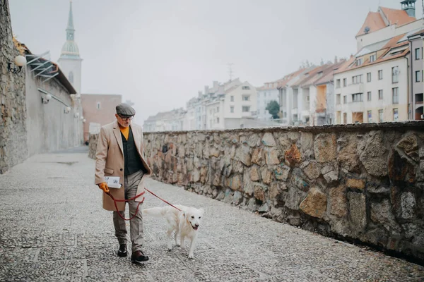Homem Sênior Elegante Feliz Andando Seu Cão Livre Cidade — Fotografia de Stock