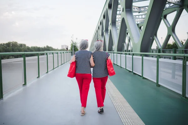 Vista Trasera Gemelos Mayores Con Misma Ropa Caminando Una Ciudad — Foto de Stock