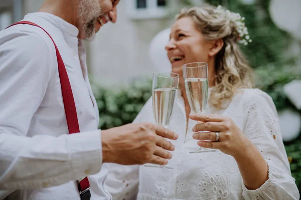 Mature Bride Groom Toasting Wedding Reception Backyard — Zdjęcie stockowe