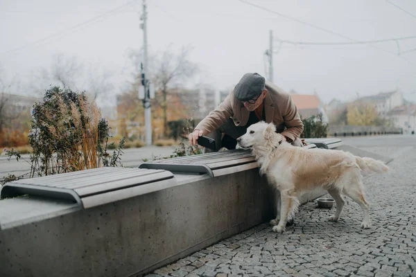 Elegant Senior Man Smartphone Taking Selfie His Big Dog Walking — Stockfoto