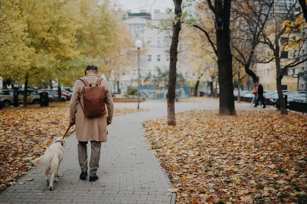 Achteraanzicht Van Elegante Senior Man Die Zijn Hond Buiten Uitlaat — Stockfoto