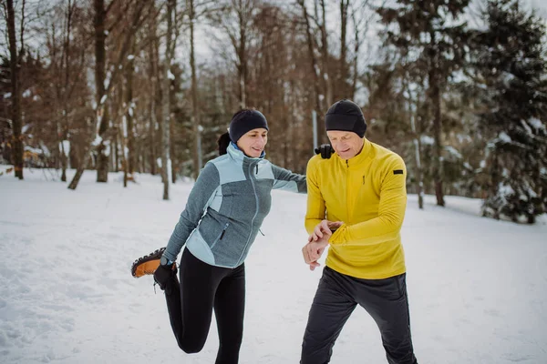 Pareja Mayor Calentamiento Control Smartwatch Bosque Antes Caminata Invierno —  Fotos de Stock