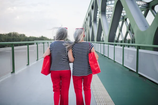 Pandangan Belakang Kembar Senior Dengan Pakaian Yang Sama Berjalan Sebuah — Stok Foto