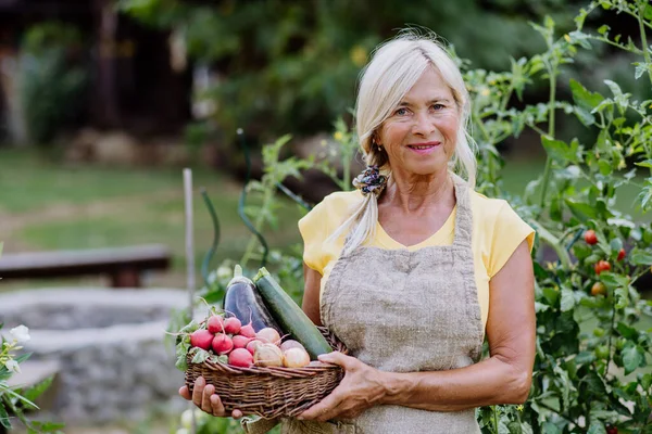 Portrait Senior Farmer Holding Basket Autumn Harvest Her Garden — Stock Photo, Image