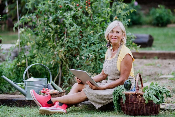 Seorang Wanita Senior Menggunakan Laptop Dan Perintah Penanganan Dari Homegrown — Stok Foto