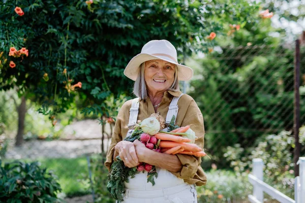 Felice Donna Anziana Posa Con Raccolta Verdure Giardino — Foto Stock