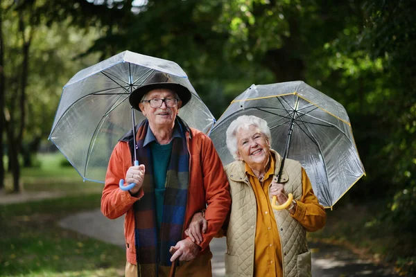 Счастливая Старшая Пара Гуляющая Зонтиками Парке Вместе — стоковое фото