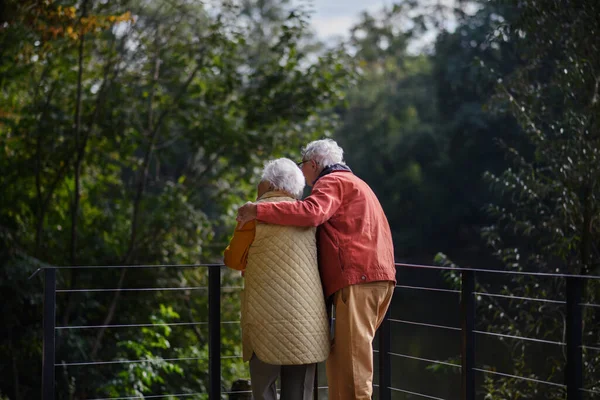 Vista Trasera Pareja Mayor Otoño Caminar Cerca Lago Teniendo Descanso —  Fotos de Stock